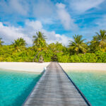 Island Hopping in the Maldives: Paradise Found in the Indian Ocean
